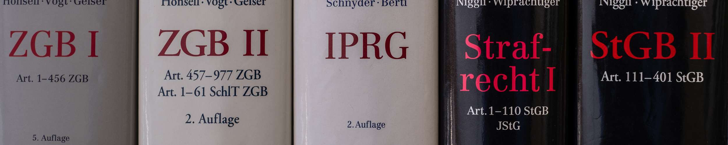 Rechts- und Wirtschaftsberatung bei Swiss Engineering | © Axel Remde