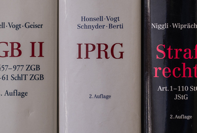 Rechts- und Wirtschaftsberatung bei Swiss Engineering | © Axel Remde