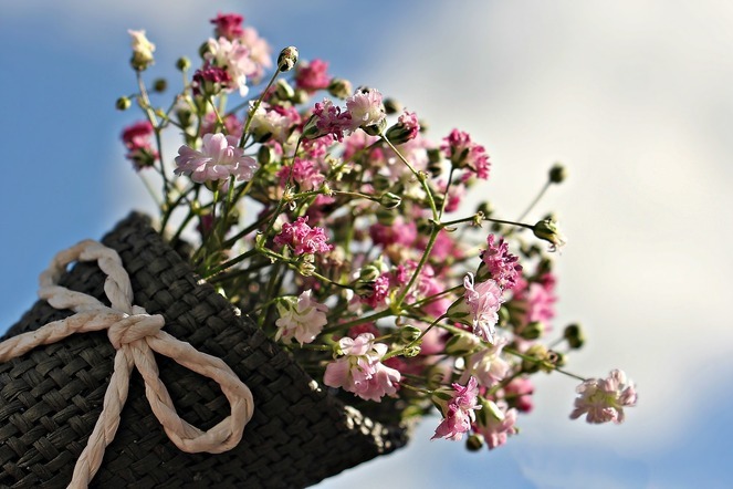 Mitglied-werben-Mitglied, Dankesprämie für Empfehlungen für eine Mitgliedschaft bei Swiss Engineering | © Pixabay